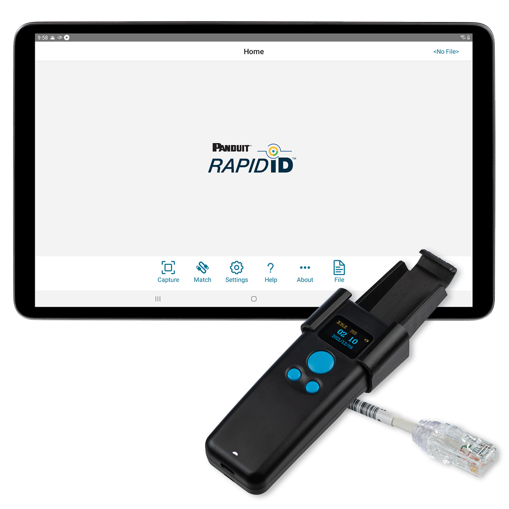 rapidid-press-release.png