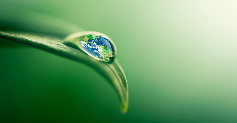 Leaf, waterdrop from leaf