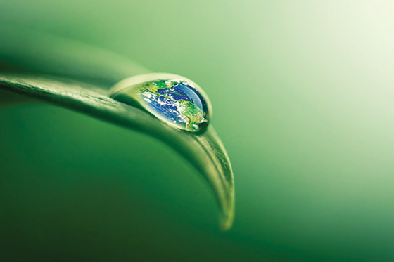 a drop of water on a leaf, with a reflection of a globe in the drop